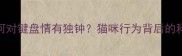 猫咪为何对键盘情有独钟猫咪行为背后的科学真相