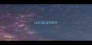 四川成都宠物医院