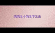 狗狗生小狗生不出来