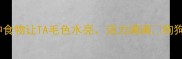 狗狗能吃这10种食物让TA毛色水亮活力满满狗狗健康宠物喂养指南