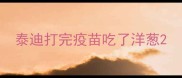 泰迪打完疫苗吃了洋葱
