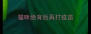 猫咪绝育后再打疫苗