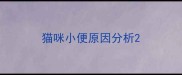 猫咪小便原因分析