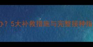狗狗疫苗接种漏打怎么办5大补救措施与完整接种指南附疫苗类型对比
