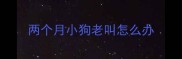 两个月小狗老叫怎么办