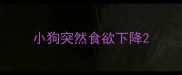 小狗突然食欲下降