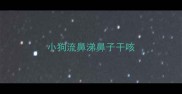 小狗流鼻涕鼻子干咳