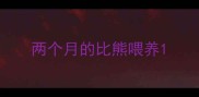 两个月的比熊喂养
