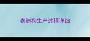 泰迪狗生产过程详细