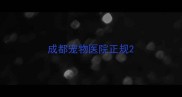成都宠物医院正规