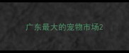 广东最大的宠物市场