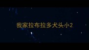 我家拉布拉多犬头小