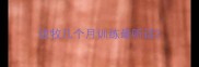 边牧几个月训练最听话