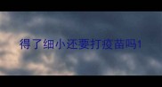 得了细小还要打疫苗吗