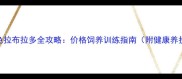 巧克力色拉布拉多全攻略价格饲养训练指南附健康养护秘籍