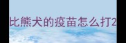 比熊犬的疫苗怎么打