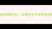 边牧一天吃一只鸡架的利弊分析边境牧羊犬科学喂养指南与营养均衡方案