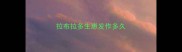 拉布拉多生崽发作多久
