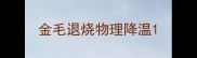 金毛退烧物理降温