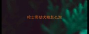 哈士奇幼犬粮怎么泡