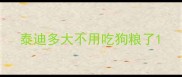 泰迪多大不用吃狗粮了