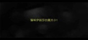 猫咪伊丽莎白圈大小