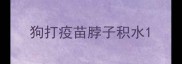 狗打疫苗脖子积水