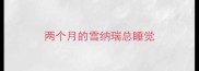 两个月的雪纳瑞总睡觉