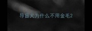 导盲犬为什么不用金毛