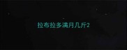 拉布拉多满月几斤