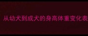 拉布拉多成长周期全从幼犬到成犬的身高体重变化表附科学喂养指南