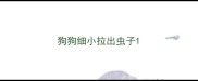 狗狗细小拉出虫子