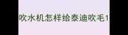 吹水机怎样给泰迪吹毛