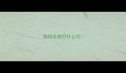 狗狗发烧打什么针
