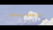 陨石边牧一般长到几斤