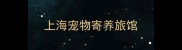 上海宠物寄养旅馆