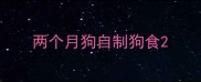 两个月狗自制狗食