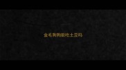 金毛狗狗能吃土豆吗
