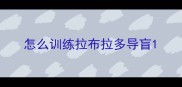 怎么训练拉布拉多导盲