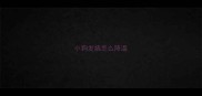 小狗发烧怎么降温