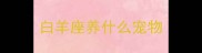 白羊座养什么宠物