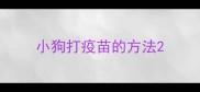 小狗打疫苗的方法