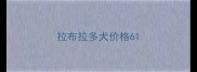 拉布拉多犬价格6