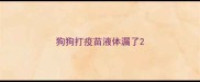 狗狗打疫苗液体漏了