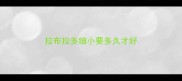 拉布拉多细小要多久才好