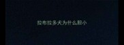 拉布拉多犬为什么胆小