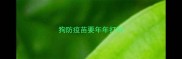 狗防疫苗要年年打吗