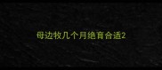母边牧几个月绝育合适