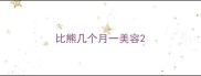 比熊几个月一美容