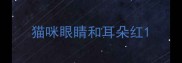 猫咪眼睛和耳朵红